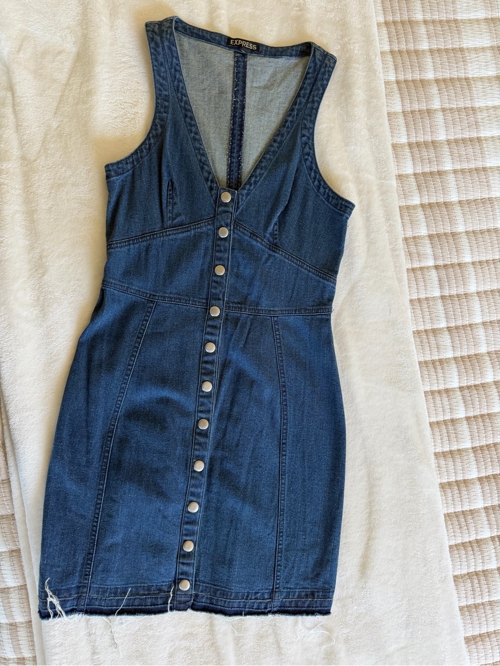 Express Blue Denim Button-Up Dress